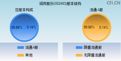 002483股本结构图