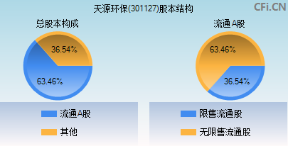 301127股本结构图