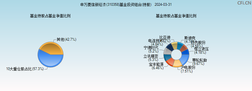 申万菱信新经济(310358)基金投资组合(持股)图