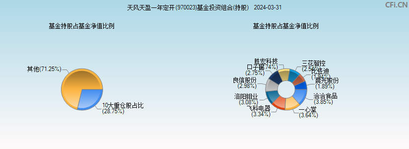 天风天盈一年定开(970023)基金投资组合(持股)图