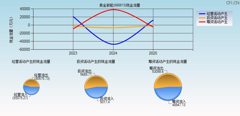 泰金新能(688813)现金流量表图