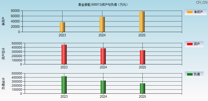泰金新能(688813)资产负债表图