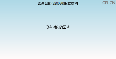 920096股本结构图