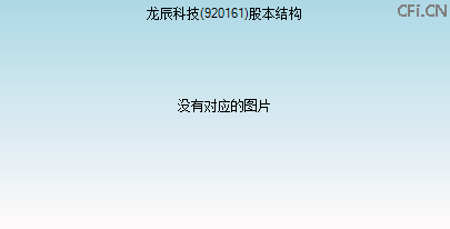 920161股本结构图