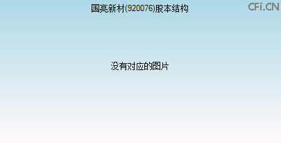 920076股本结构图 920076股本结构图