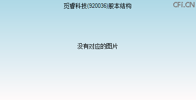 920036股本结构图 920036股本结构图