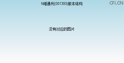 001393股本结构图 001393股本结构图