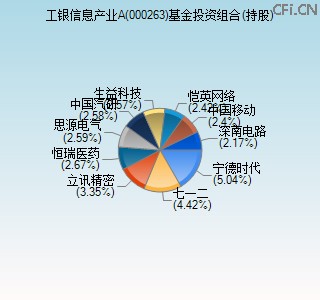 000263基金投资组合(持股)图