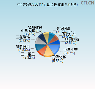 001117基金投资组合(持股)图