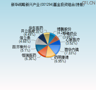 001294基金投资组合(持股)图