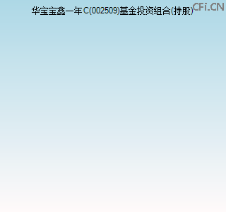 002509基金投资组合(持股)图