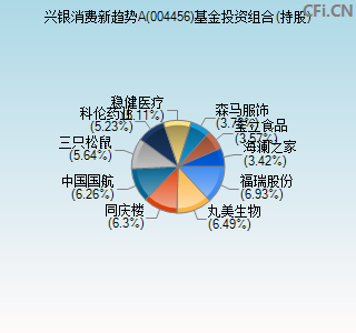 004456基金投资组合(持股)图