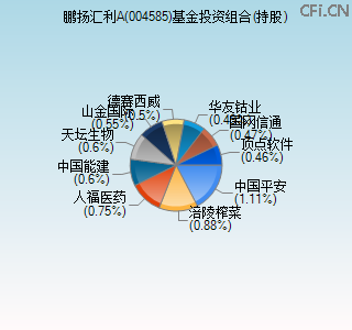 004585基金投资组合(持股)图