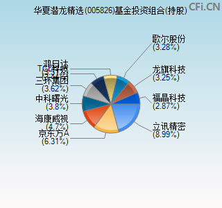 005826基金投资组合(持股)图