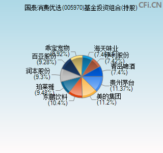 005970基金投资组合(持股)图