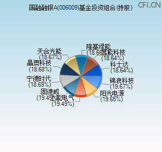 006009基金投资组合(持股)图