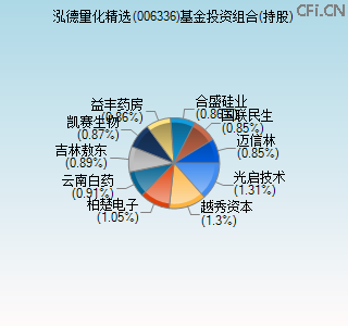 006336基金投资组合(持股)图