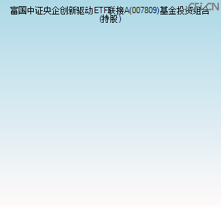 007809基金投资组合(持股)图