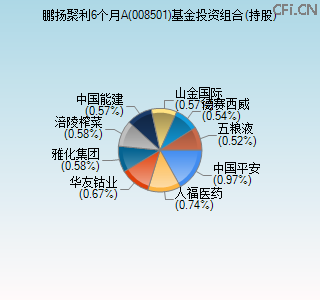 008501基金投资组合(持股)图