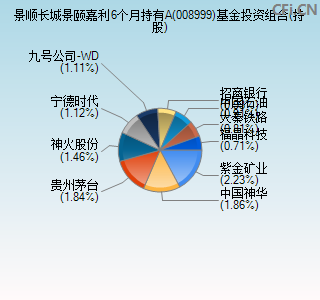 008999基金投资组合(持股)图