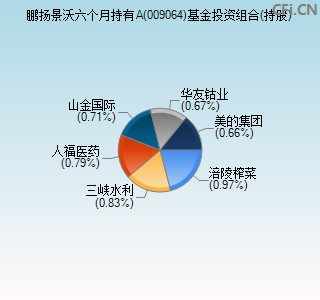 009064基金投资组合(持股)图