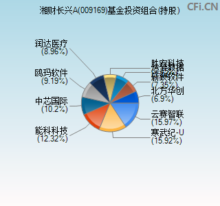 009169基金投资组合(持股)图