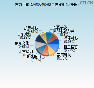 009465基金投资组合(持股)图