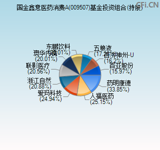 009507基金投资组合(持股)图