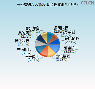 009539基金投资组合(持股)图