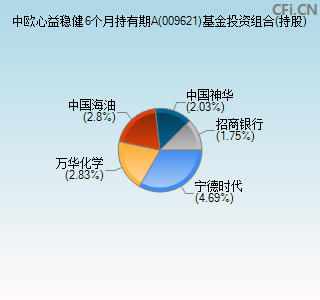 009621基金投资组合(持股)图