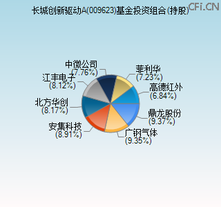 009623基金投资组合(持股)图