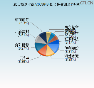 009649基金投资组合(持股)图