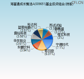 009651基金投资组合(持股)图