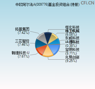 009776基金投资组合(持股)图