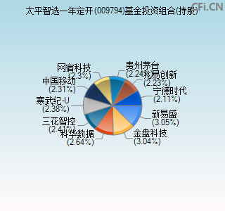 009794基金投资组合(持股)图