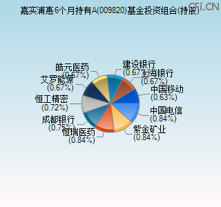 009820基金投资组合(持股)图