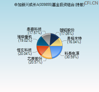 009855基金投资组合(持股)图