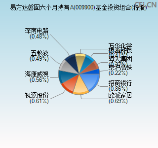 009900基金投资组合(持股)图