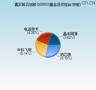 009993基金投资组合(持股)图