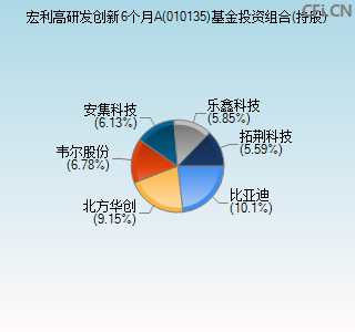 010135基金投资组合(持股)图