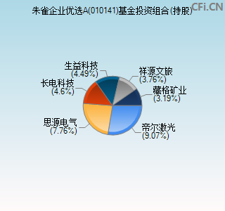 010141基金投资组合(持股)图