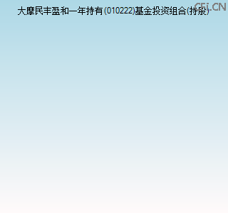 010222基金投资组合(持股)图