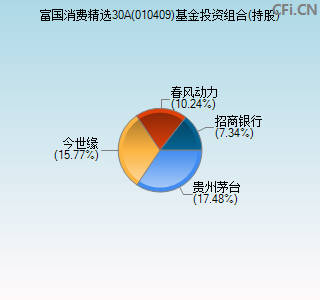 010409基金投资组合(持股)图