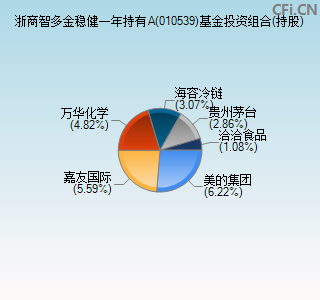 010539基金投资组合(持股)图