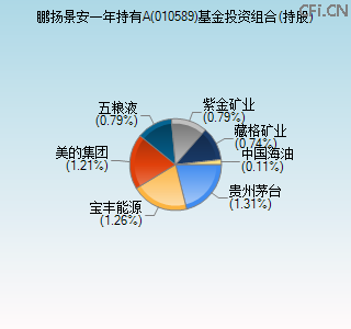 010589基金投资组合(持股)图