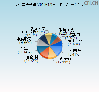 010617基金投资组合(持股)图