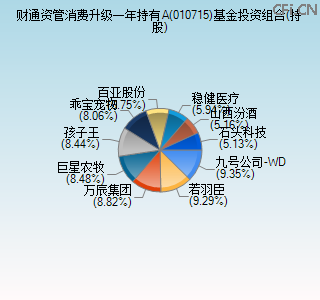 010715基金投资组合(持股)图