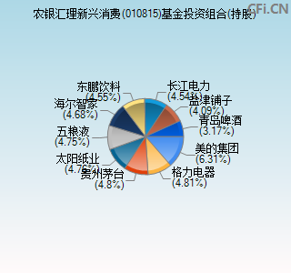 010815基金投资组合(持股)图