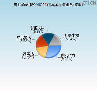 011431基金投资组合(持股)图