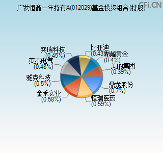 012029基金投资组合(持股)图